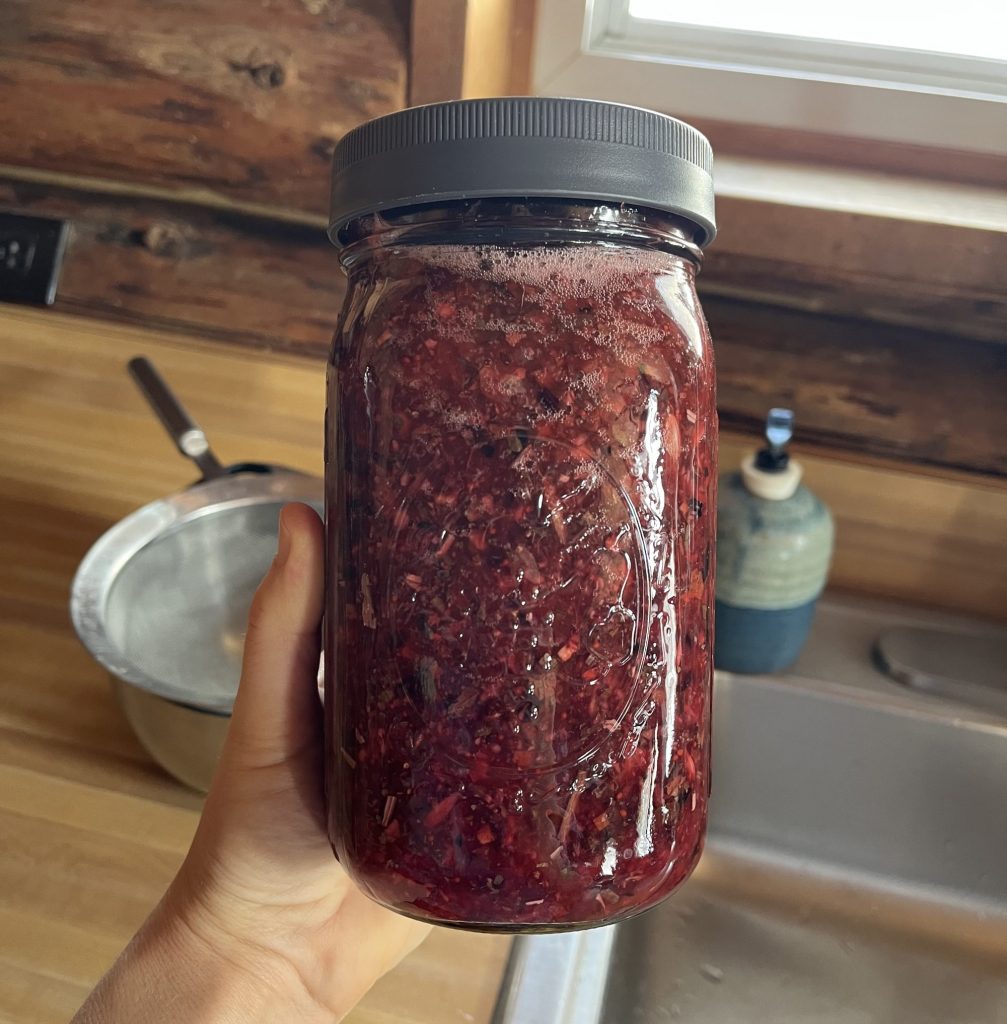 cranberry + ginger shrubs