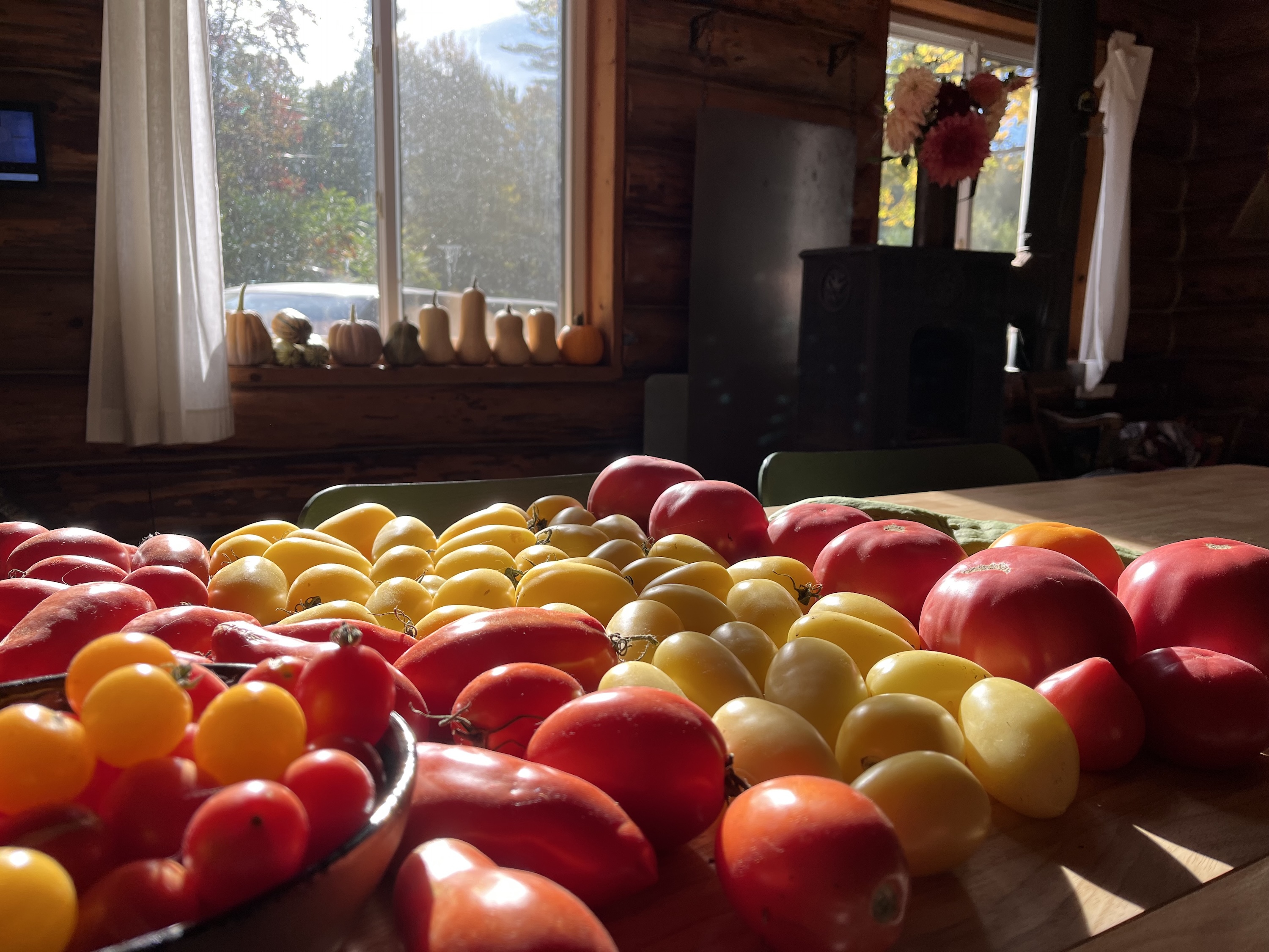 tomatoes and other friends…