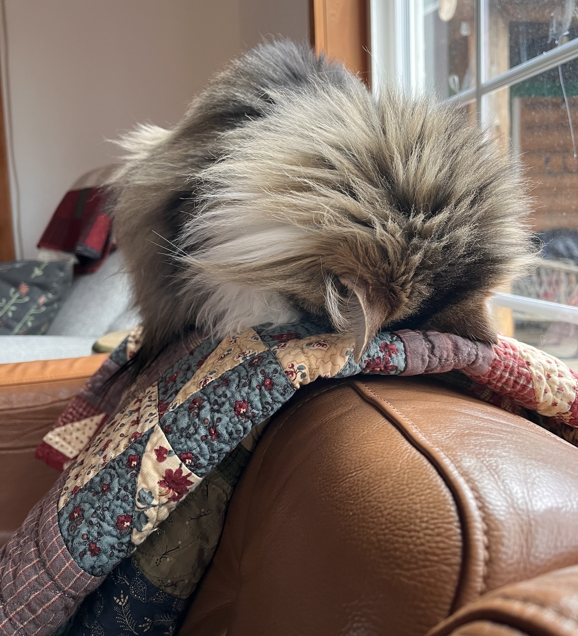 still winter….